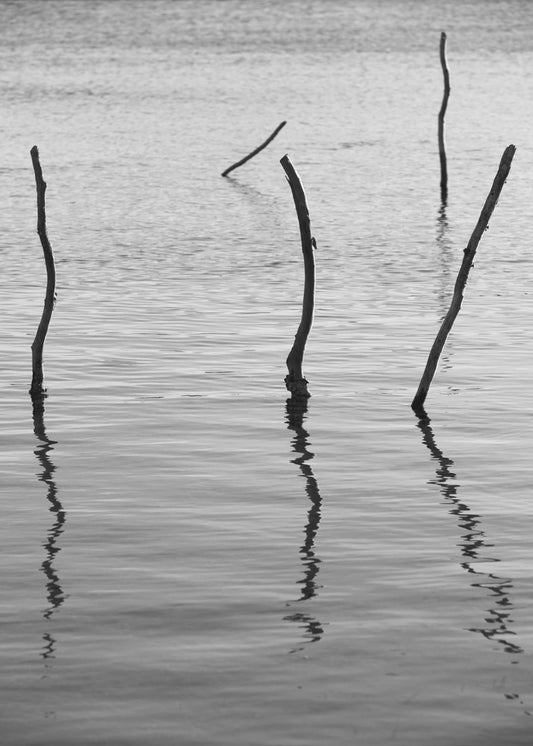 Silent Reflections | Canvas