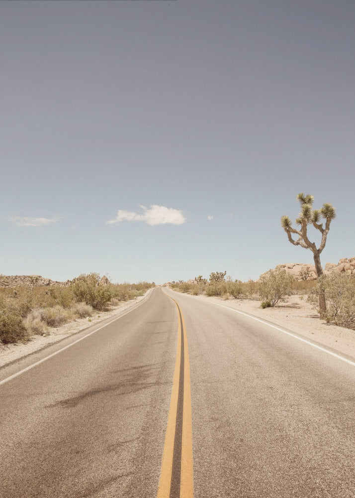 Deserted Highway | Canvas