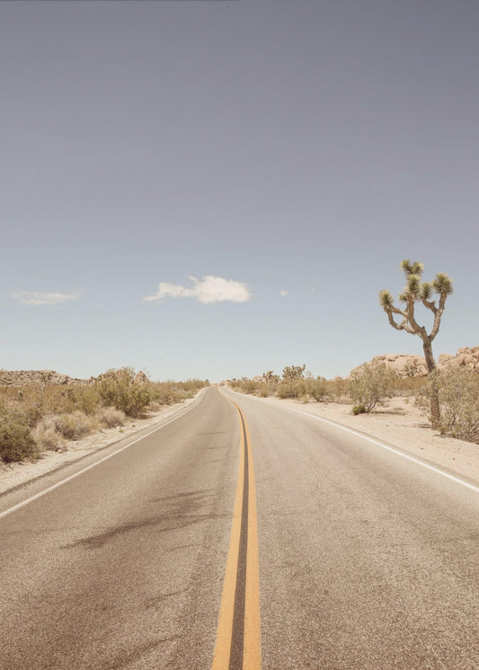 Deserted Highway | Canvas