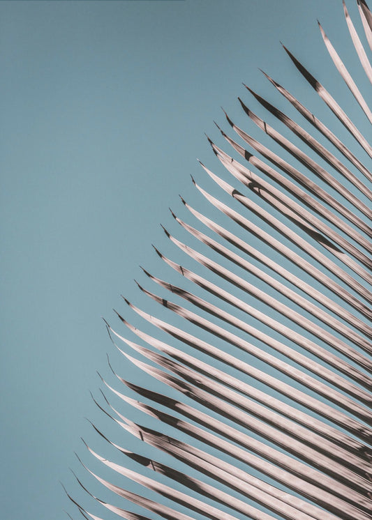 Palm Leaves Serenity | Poster