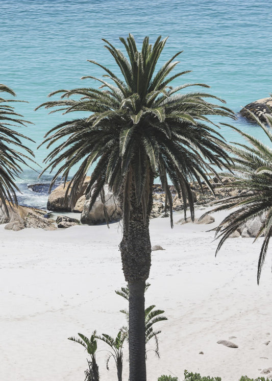 Secret Sands | Poster