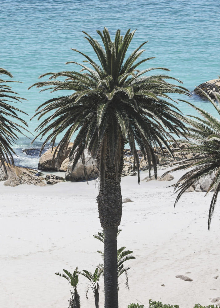 Secret Sands | Canvas