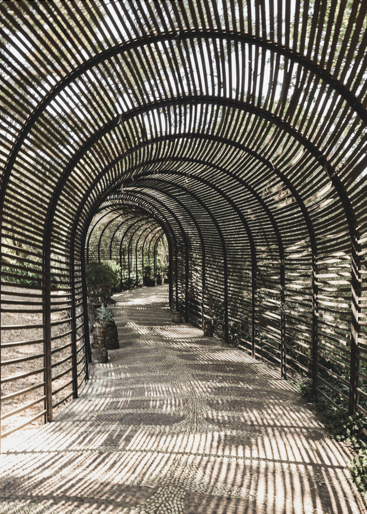 Shadow Garden | Canvas