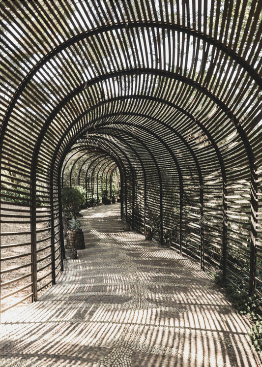 Shadow Garden | Canvas