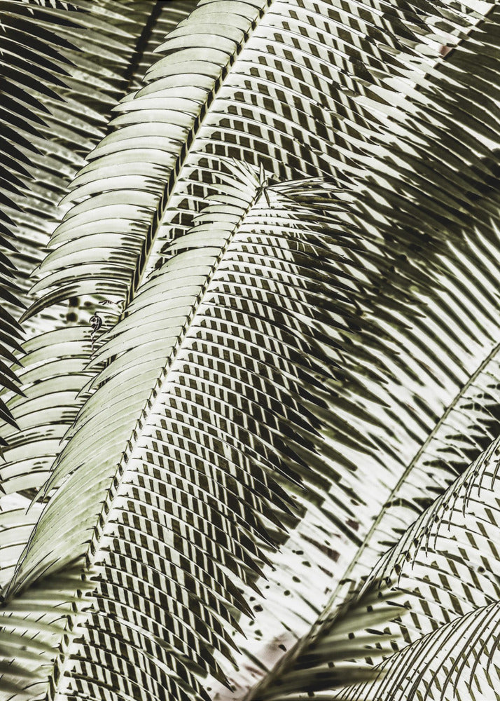 Shadow Dancing | Canvas