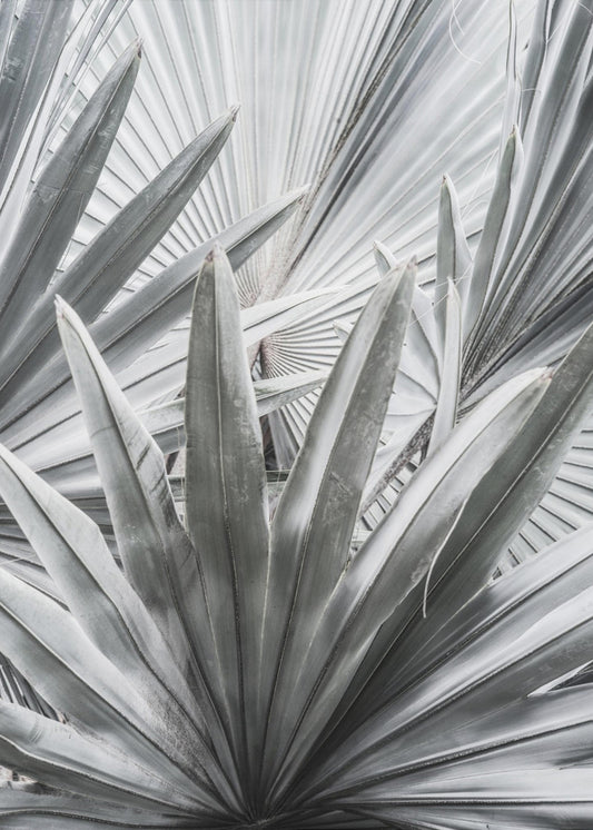 Silver Spray | Canvas