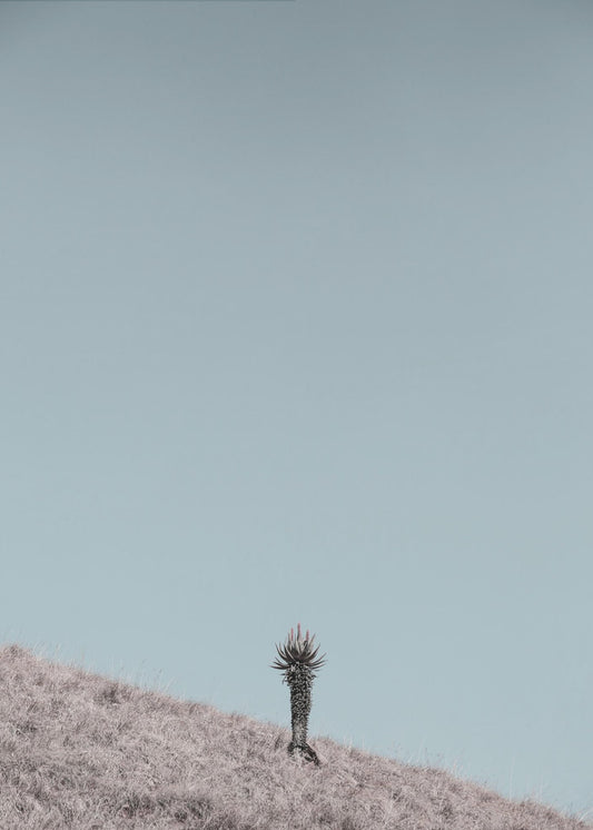 Minimalist Artwork | Canvas