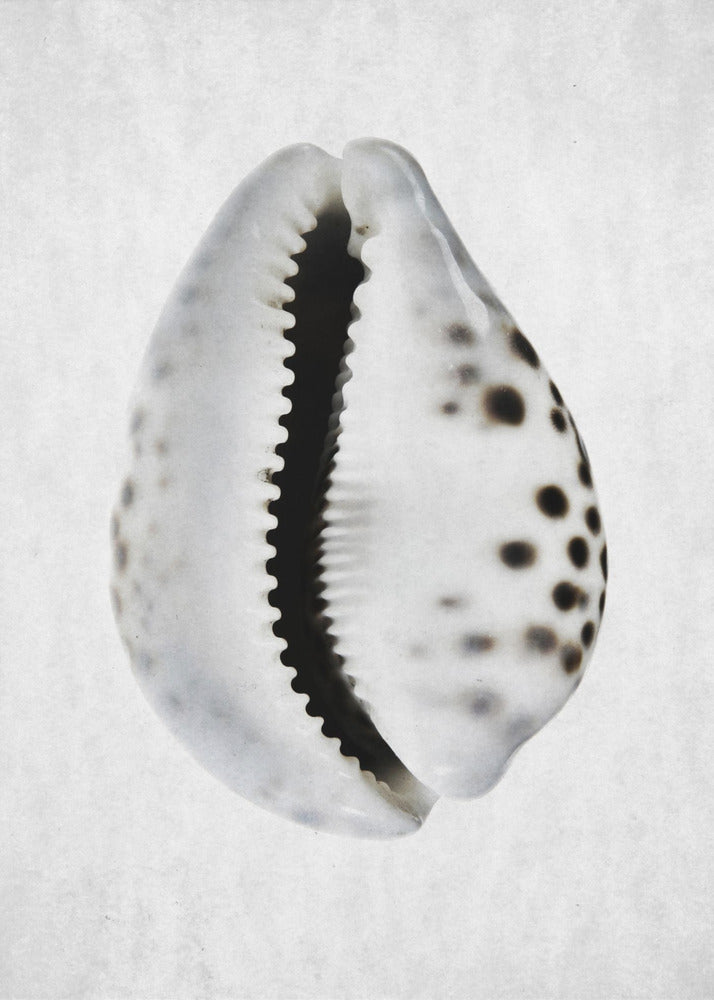 Spring Tide | Canvas