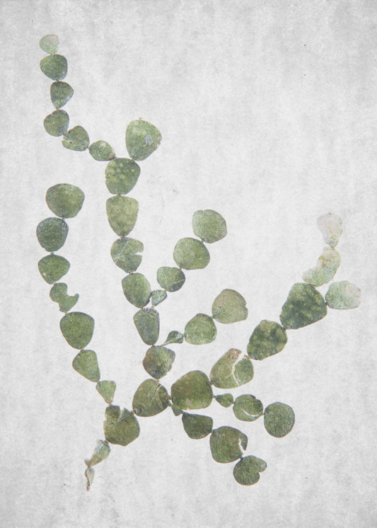 This Minimalist Artwork | Canvas