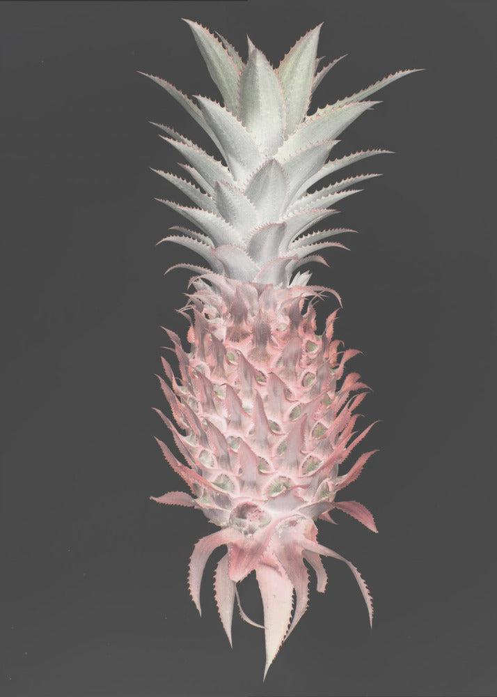 Strawberry Pine | Canvas