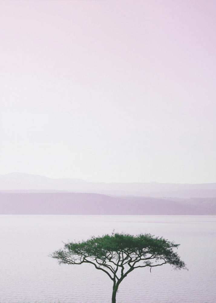 Tree By A Tranquil Lake | Poster