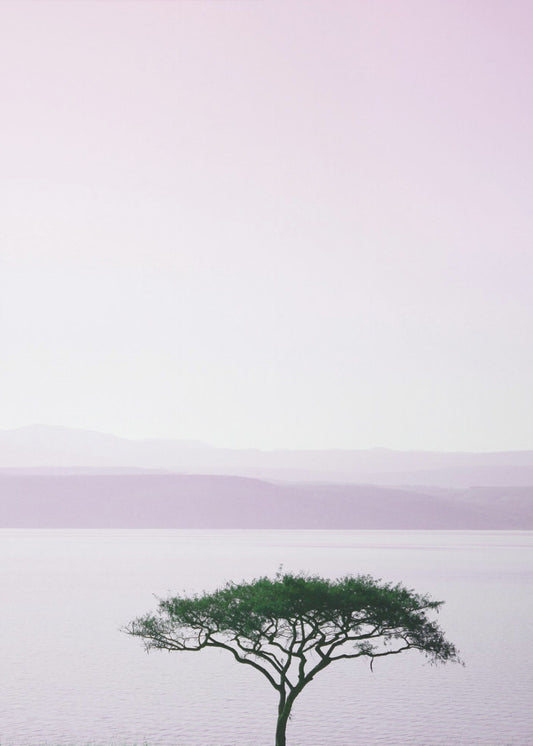 Tree By A Tranquil Lake | Poster