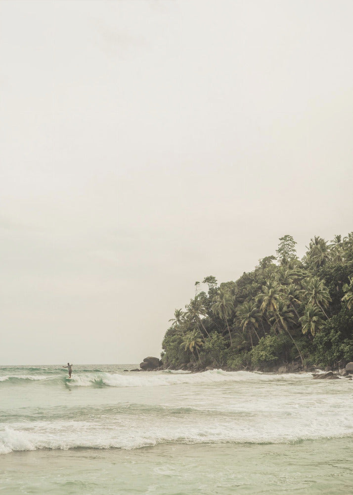 Tranquil Beach Scene With Lush Palm Trees | Poster