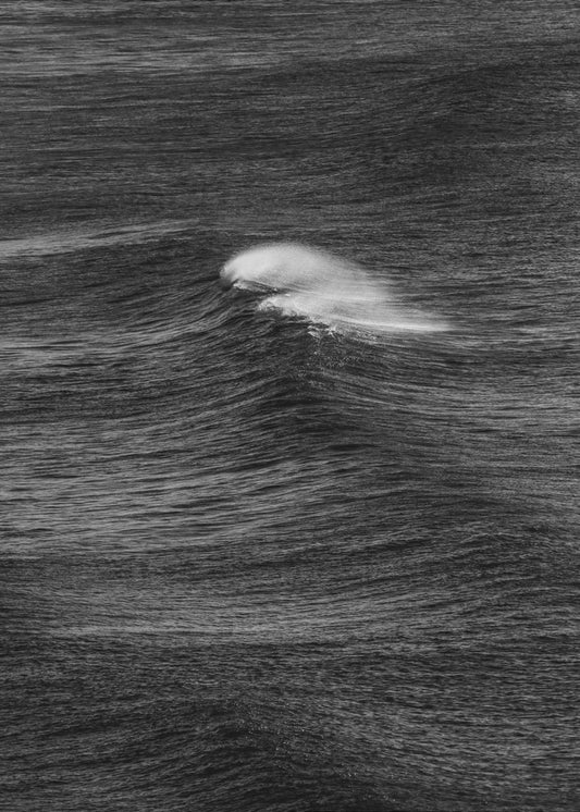 Whispering Waves | Poster