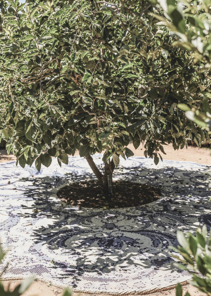 Vibrant Outdoor Installation | Canvas