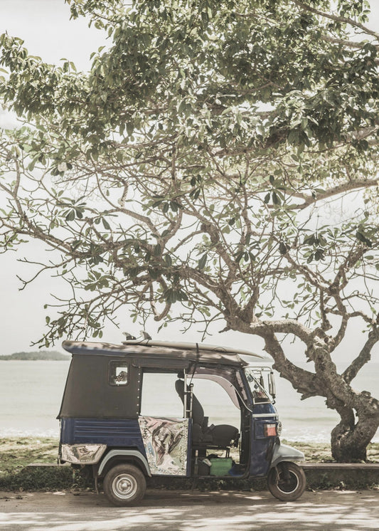 Tuk Tuk Tour | Poster