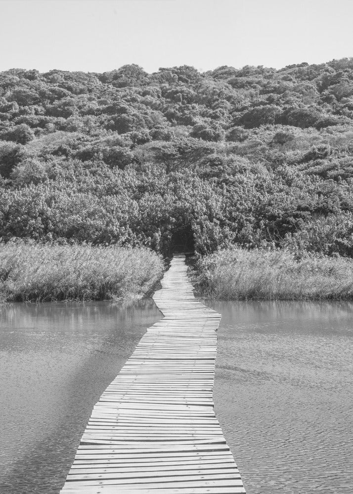 Welcome To The Jungle | Poster