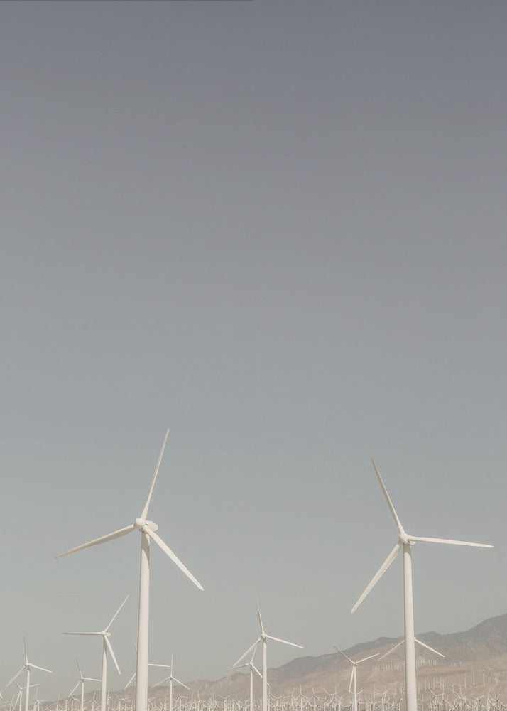 Windmill Symphony | Poster