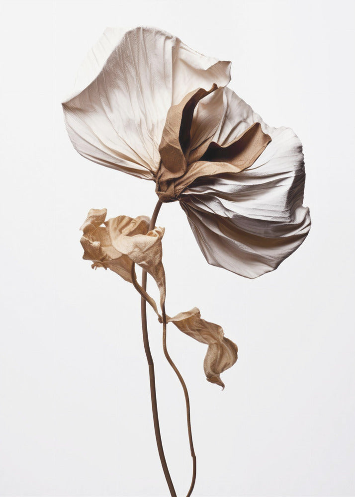 Whispering Petals | Canvas