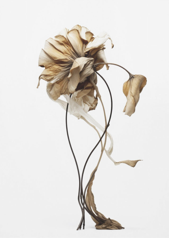 Wilted Elegance | Poster