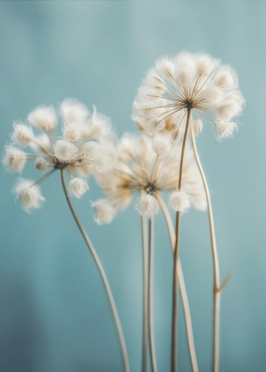 Puffs in the Breeze | Poster