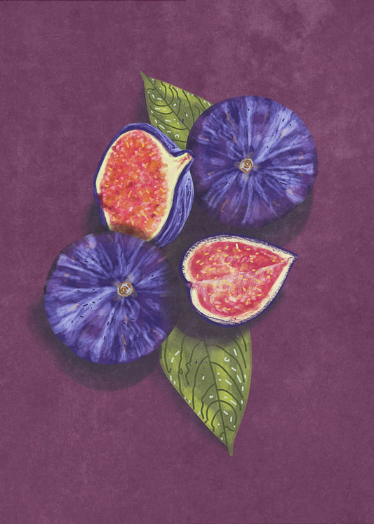 Figs Stil Life | Poster