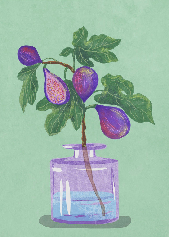 Figs Branch In Vase | Poster