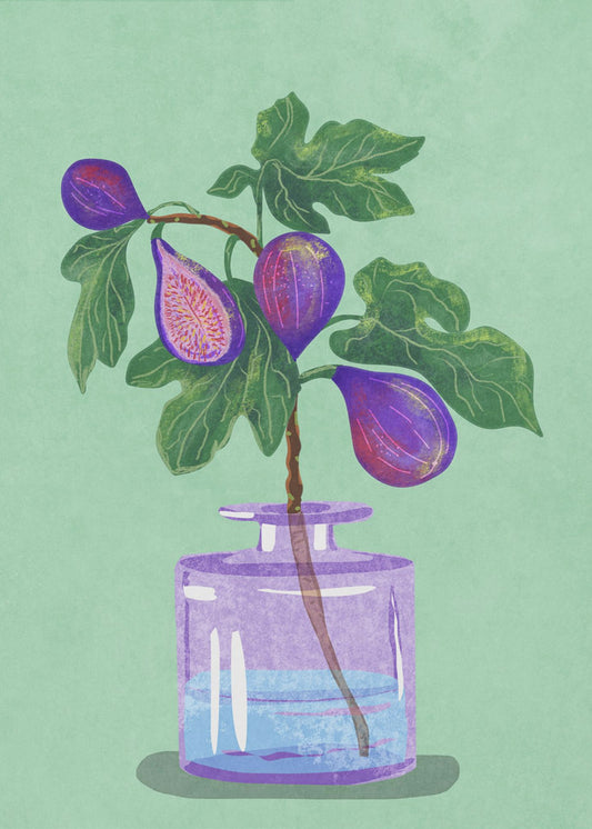 Figs Branch In Vase | Poster