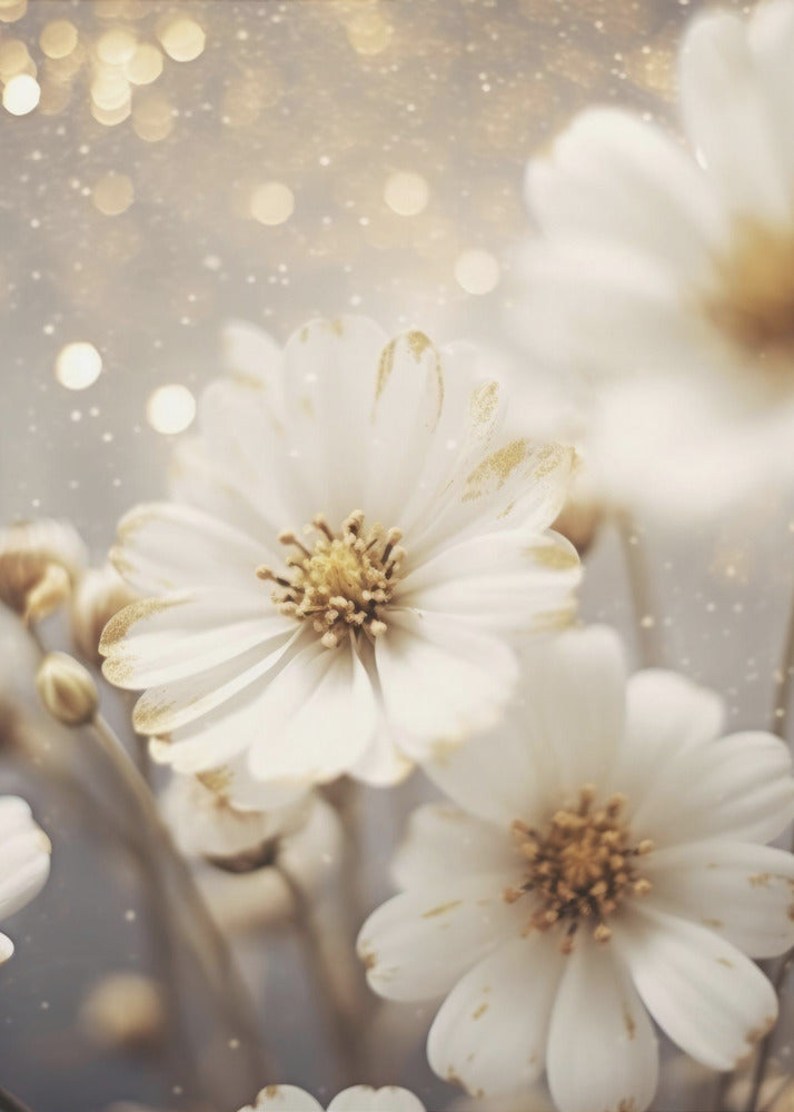 Petals in Starlight | Canvas