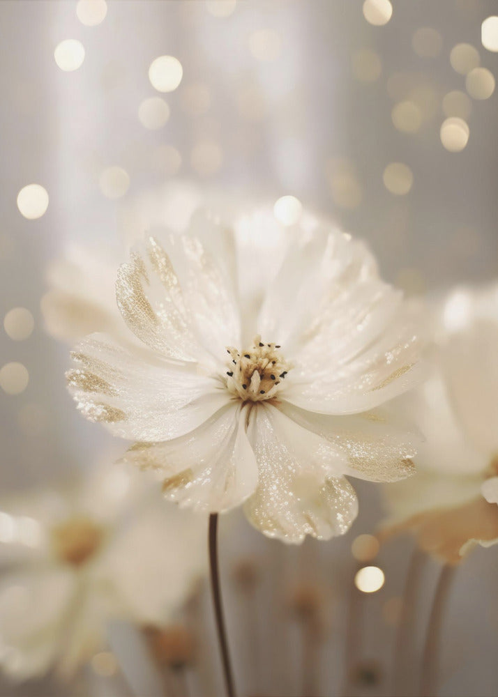 Glittering Petals | Poster