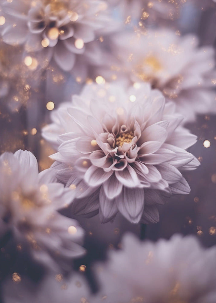 Petal Dreams | Canvas