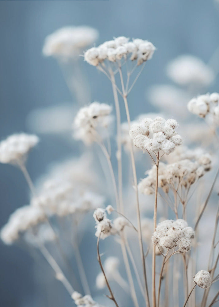 Delicate Whispers | Canvas