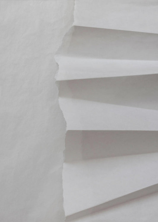 Paper Studies 12 | Canvas