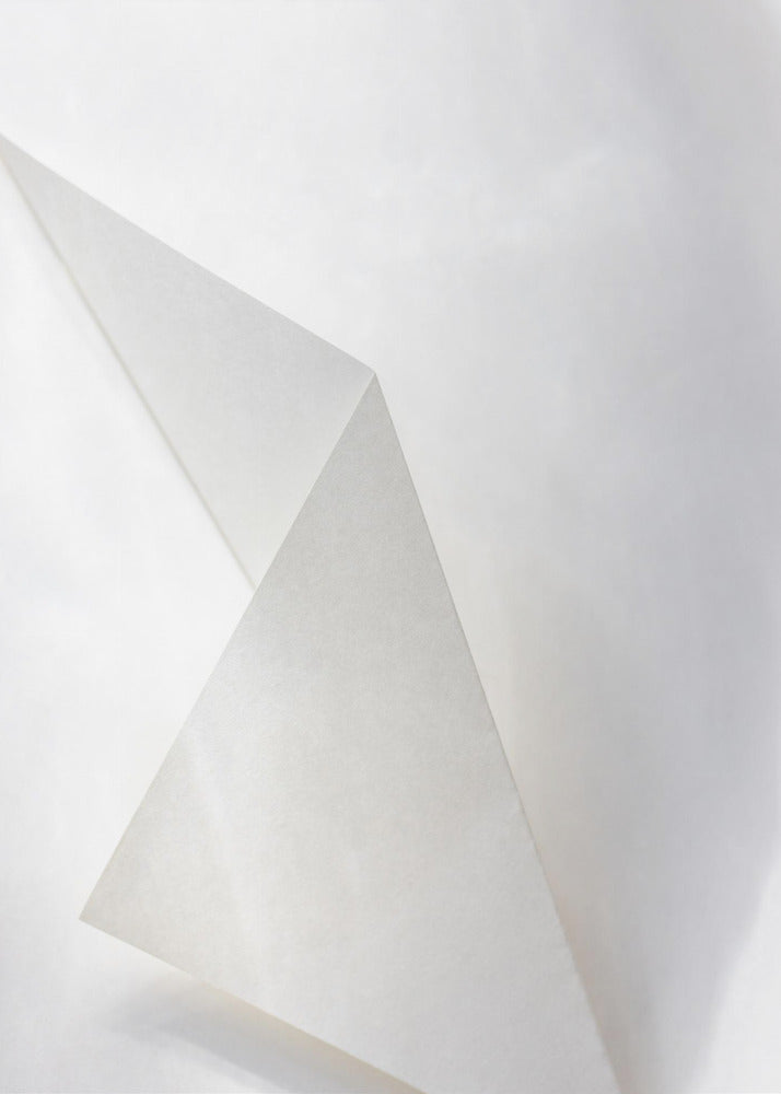 Paper Studies 18 | Canvas