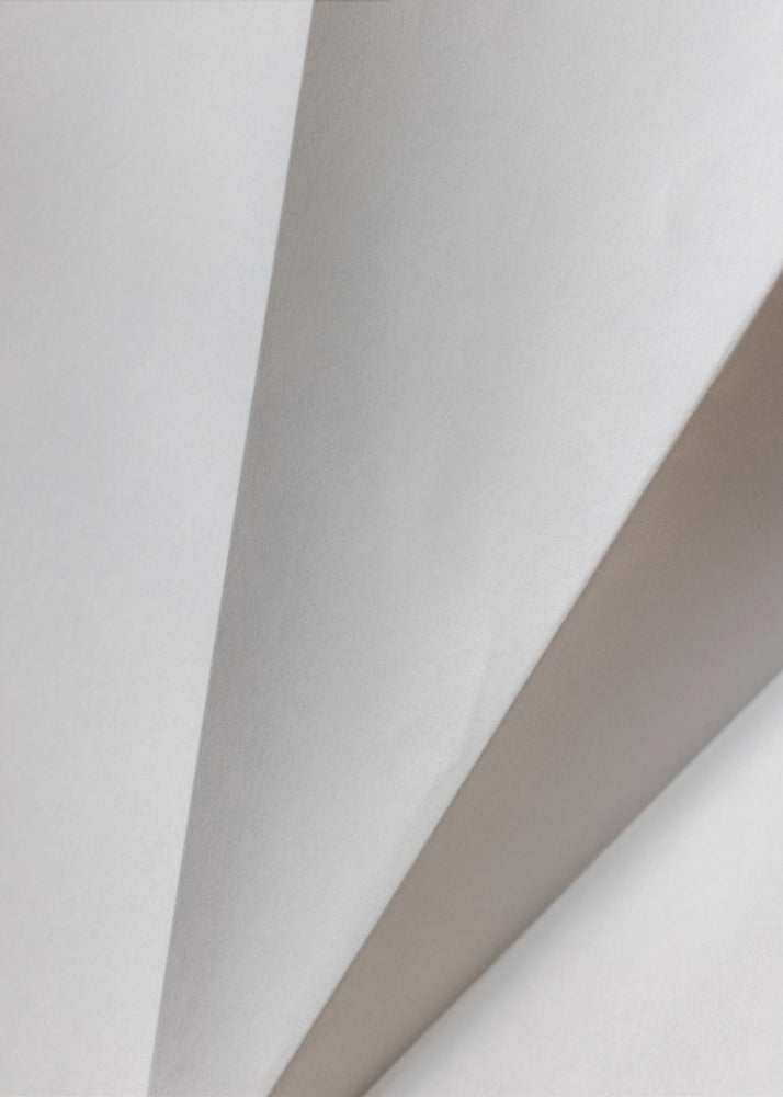 Paper Studies 20 | Canvas