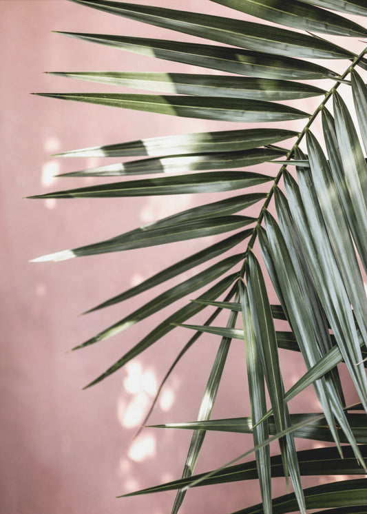 Palm Leaves 23 | Poster