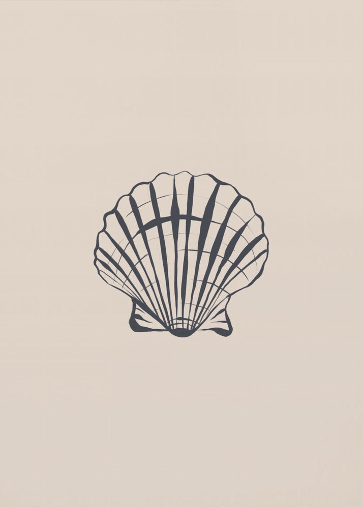 Seashell | Poster