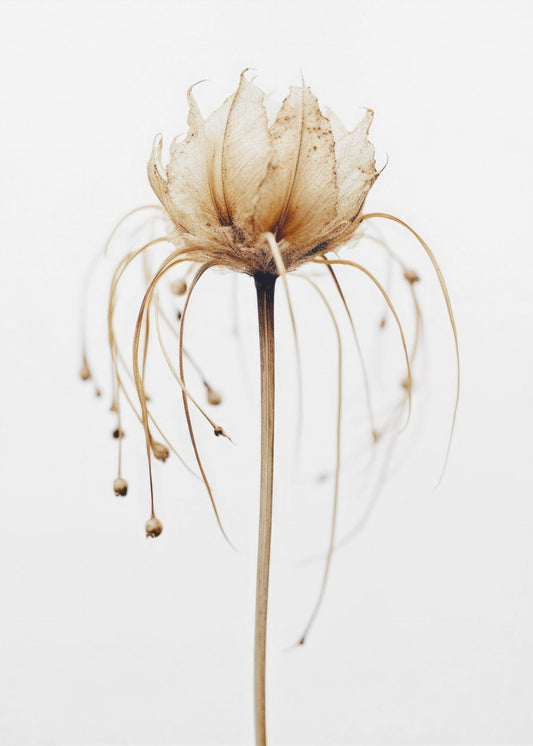 Ethereal Bloom | Canvas