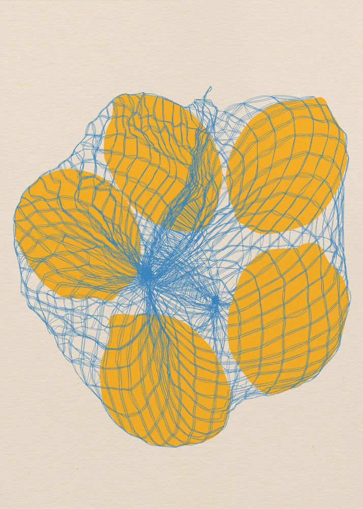 Five Lemons In a Net Bag | Poster