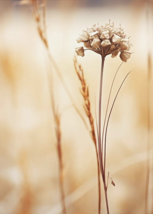 Whispering Fields | Canvas