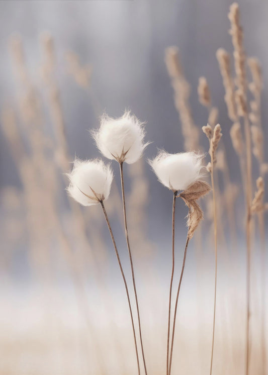 Winter Whispers | Canvas