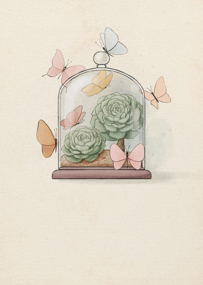 Succulent Fairy Plant | Canvas