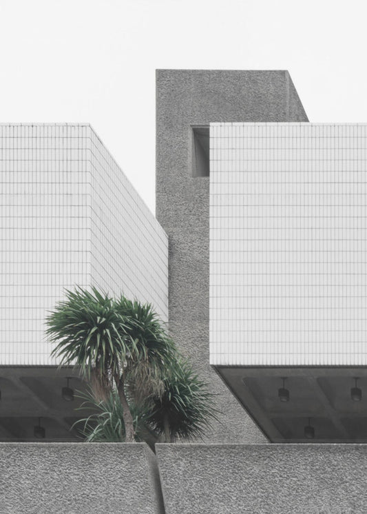 Lonely Palms | Poster