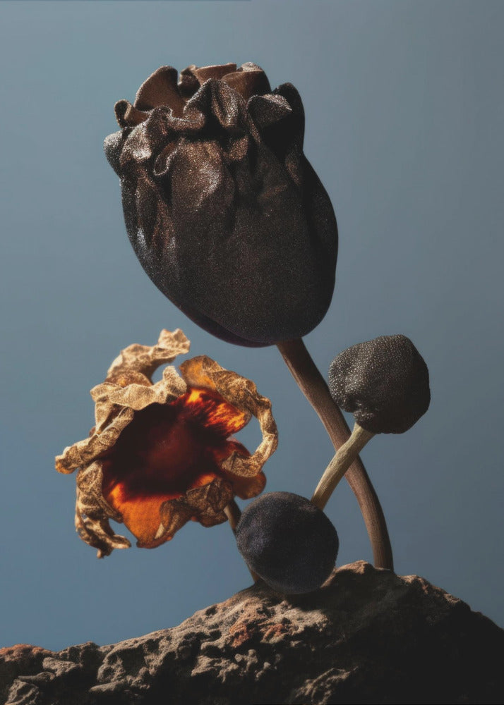 Still Life Flowers No2 | Canvas