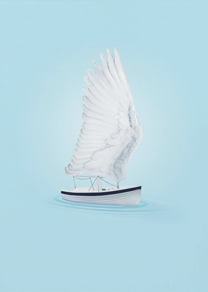 Wing Boat | Canvas