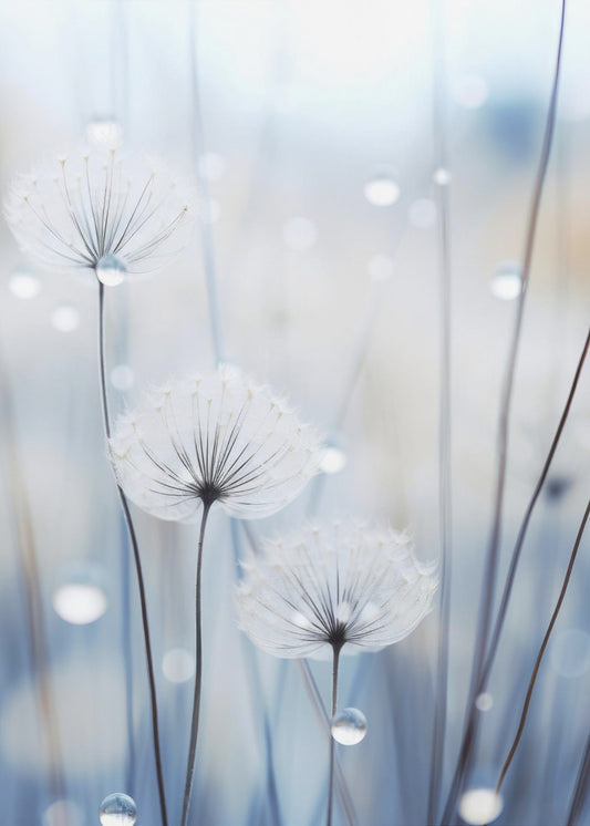 Whispering Seeds | Canvas