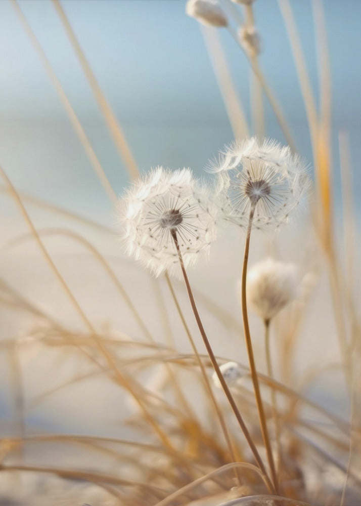 Whispers in the Wind | Canvas