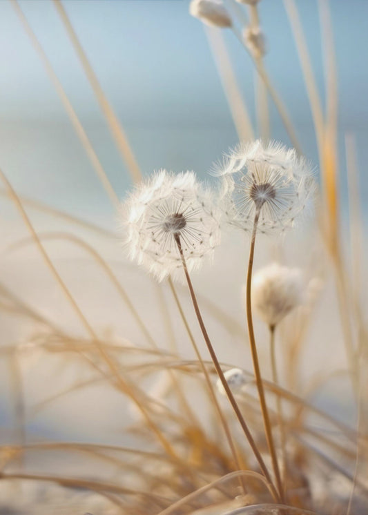Whispers in the Wind | Canvas