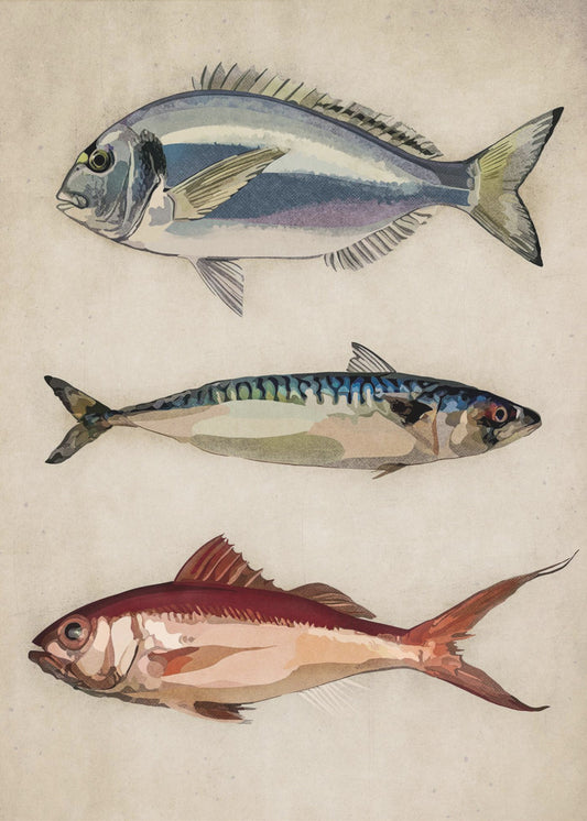 Trio of Ocean Life | Canvas
