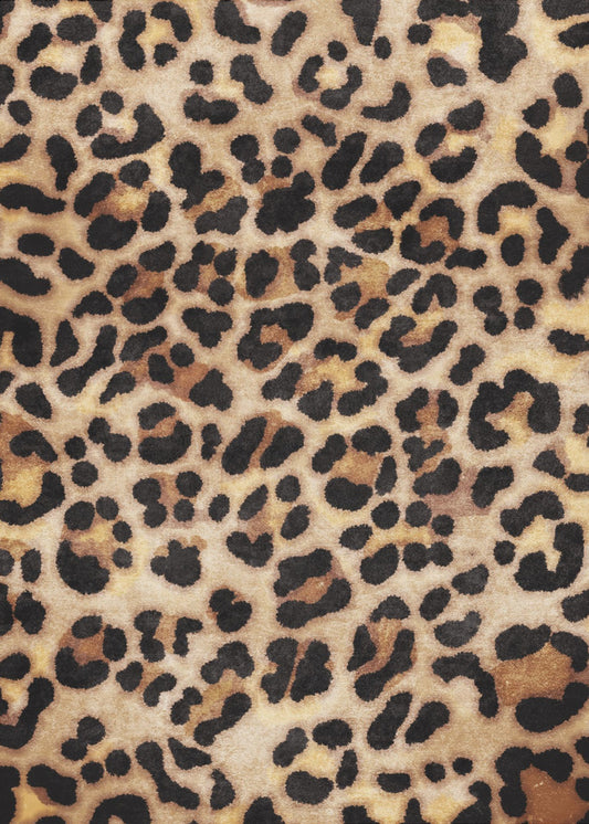 Wild Patterned Canvas | Canvas